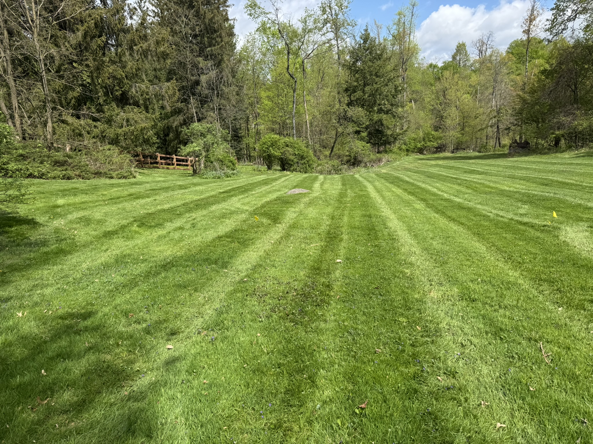 Lawn care by Roush Lawn Care LLC